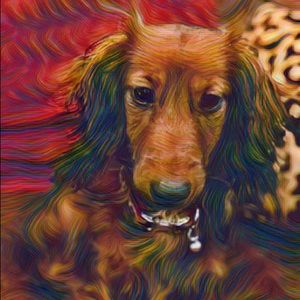 Meet your Posher, Robin